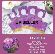 3 PCS Wardrobe Freshener